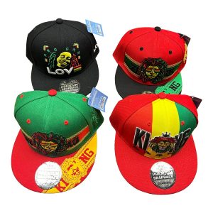 Premium High Quality Snapback Hats - Mixed Designs