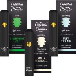 Coastal Clouds D8+HHC-P 2g Disposable