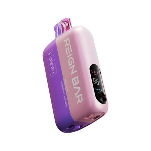 Reign Bar 25k Puffs Disposable 5ct