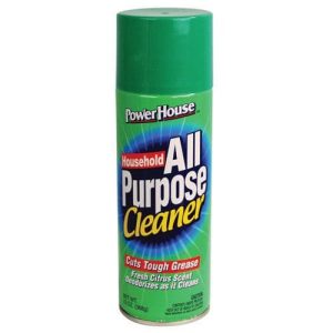All Purpose Cleaner Safe Can 12Oz